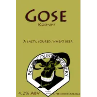 Bexar County Brewery Gose