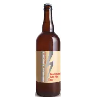 Bad Flash Craft Brewery Fanatic NEIPA