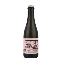 DEYA Brewing Company Off Piste Campfire S'mores