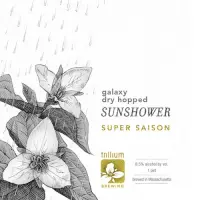 Trillium Brewing Company Sunshower - Galaxy Dry Hopped