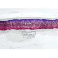 Millpond Brewing Bight