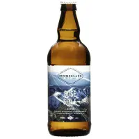Summerland Heritage Cider Gose Style