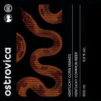 Ostrovica Kentucky Corn Snakes