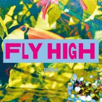 Dark Lab Microbrasserie Fly High
