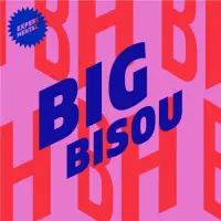 Brique House Big Bisou