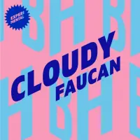 Brique House Cloudy Faucan
