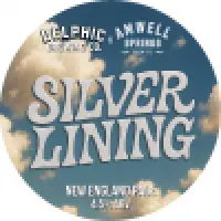Delphic Brewing Co Silver Lining