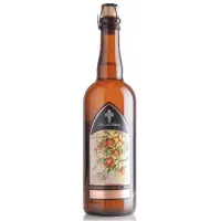 The Lost Abbey Peach Afternoon