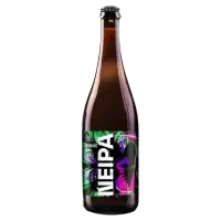 Královéhradecký Měšťanský Pivovar Klenot NEIPA 14°