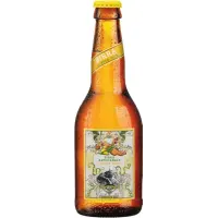 Brauerei Locher (Appenzeller) Ginger Beer Alkoholfrei