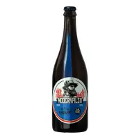 Holíčsky Pivovar Wywar Modern Pils 11°