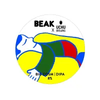 Beak Brewery Big Cosm
