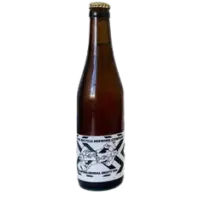 Electric Bicycle Brewing Superliminal Brett IPA