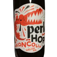 Perle - Bières Artisanales Artzner HOP Meloncolia