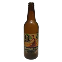 Browar EDI Miodowa Salsa