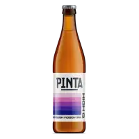 PINTA High Q: Polish Foggy IPA