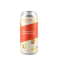 Trading Post Brewing Pineapple Ginger Sour