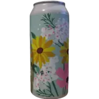 Structures Brewing Company Galaxy IPA