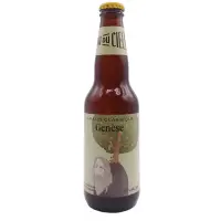 Brasserie Dieu du Ciel! Genèse