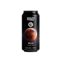 Gravity Well Brewing Selas
