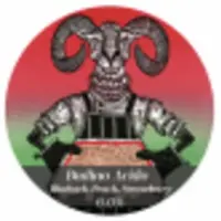 Pastore Brewing and Blending Budino Acido
