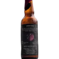 Temporal Artisan Ales Infinite Syzygy