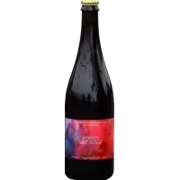 Temporal Artisan Ales Syzygy