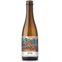 Pastore Brewing and Blending Reincarnazione - Apricot