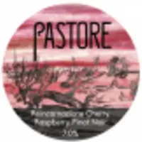 Pastore Brewing and Blending Reincarnazione - Cherry, Raspberry, Pinot Noir