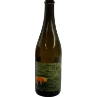 Freak Folk Bier Melvin