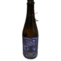 E9 Brewing Co. Blueberry Love