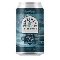 Something In The Water Brewing Co. Ships In the Night Oatmeal Stout