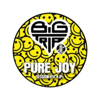 Big Trip Brewery Pure Joy