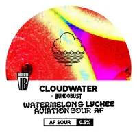 Cloudwater Brew Co Lychee & Watermelon Aviation Sour