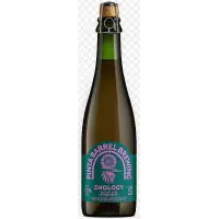PINTA Barrel Brewing Enology 2022 - Riesling