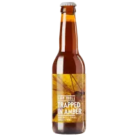 Van Moll Trapped in Amber