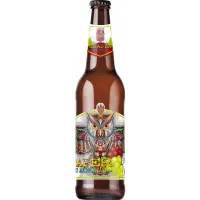 Browar Wielka Sowa Graper Fruit Ale