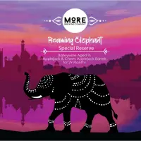 More Brewing Company Roaming Elephant Special Reserve