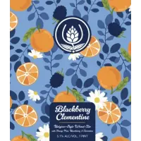 Source Farmhouse Brewery Blackberry Clementine