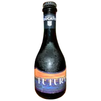 Birrificio del Ducato Futura