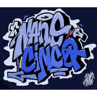 Nano Cinco Innovation 1
