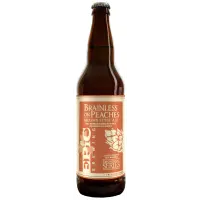 Epic Brewing Company Brainless on Peaches