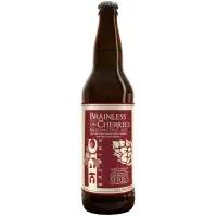 Epic Brewing Company Brainless on Cherries (Batch 5 and higher, Red Wine Barrel)