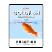 Duration Brewing Goldfish