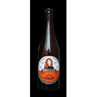 Holíčsky Pivovar Wywar Ginger Ale 12°