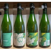 Our Brewery Untamed (Wild Ale V1)