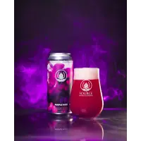 Source Farmhouse Brewery Purple Haze