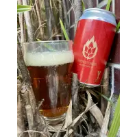Y Market Brewing Torchlight Amber Ale