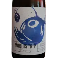 SaltFire Brewing Company Mobias Trip - Blueberry