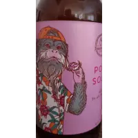 Toasted Barrel Brewery POG Sour